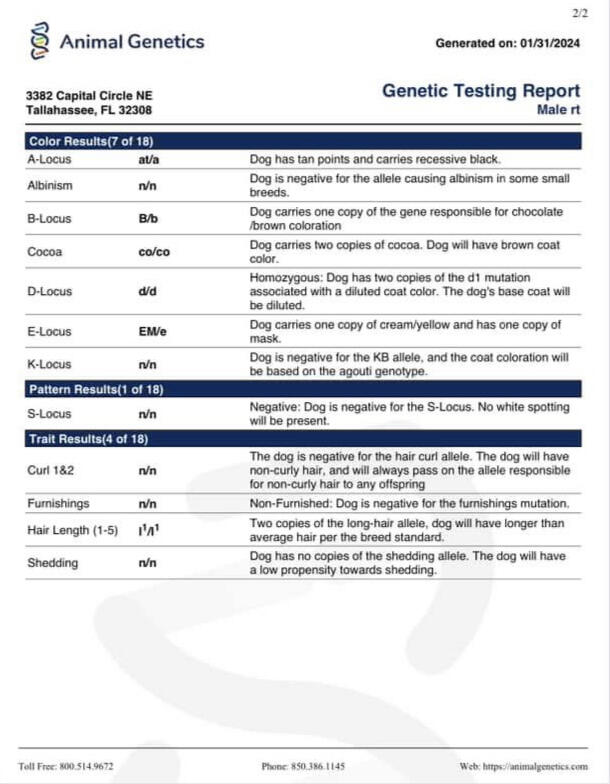 DNA Report